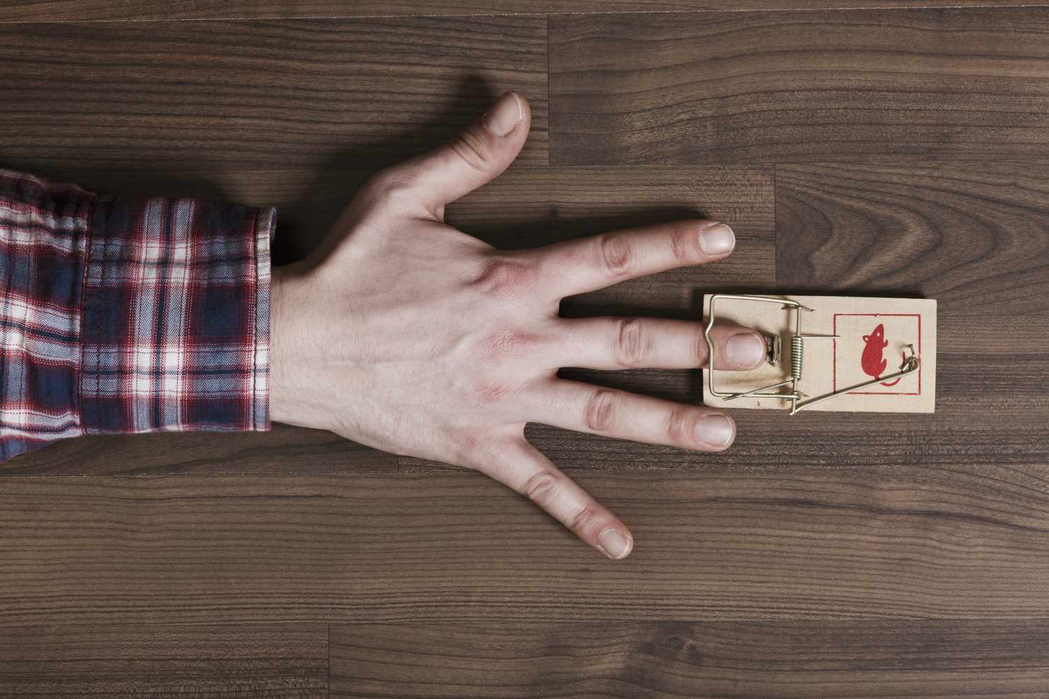 trapped-in-a-mousetrap